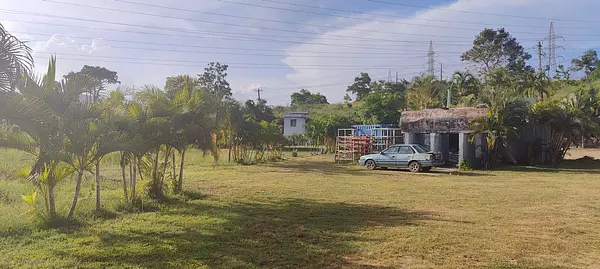 oficinas y locales comerciales - Nave refrigerada en Palamara 4
