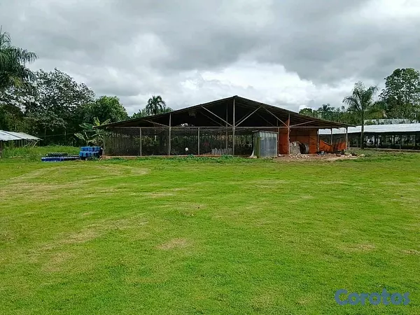 otros inmuebles - finca para criar de pollos y diversión proximo a la autovía de samana 4
