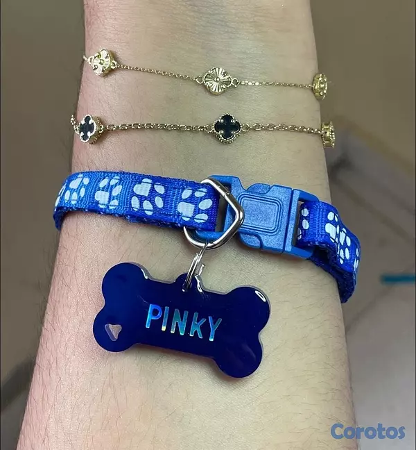 animales y mascotas - Collares y Chapillas personalizadas para mascotas  4