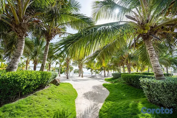 apartamentos - Apartamento en Primera Linea de Playa Dominicus Ba 14