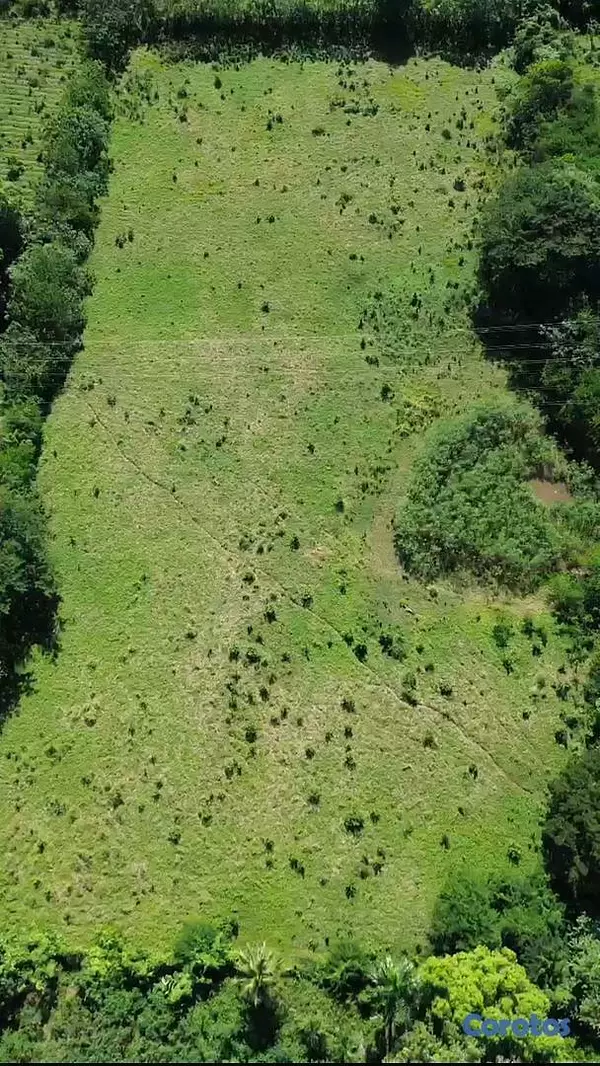 solares y terrenos - 18,800mts² Terreno/Solar en El Toro de Guerra, Carretera Mella 4