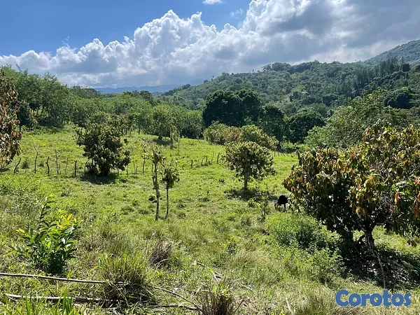solares y terrenos - Terreno en lugar privilegiado solo uno 2611 MT 
Título Deslindado  3