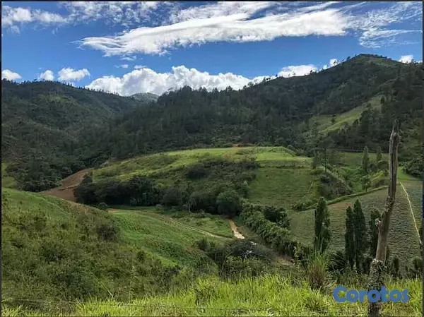 solares y terrenos - Finca en Constanza de 796 tareas con titulo y deslinde  3