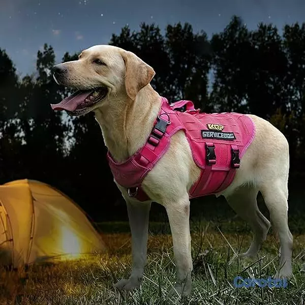 animales y mascotas - Arnés táctico para perros size M 3