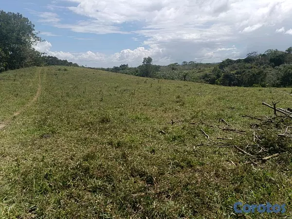 solares y terrenos - finca de 182 tareas en Monte Plata  5