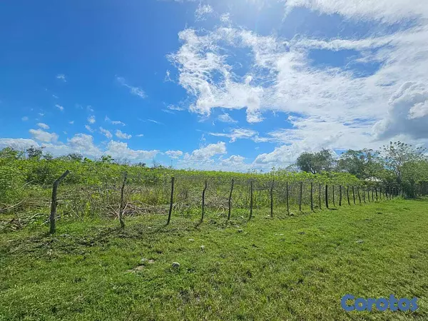 solares y terrenos - Finquita en San Francisco de Macoris de 66 tareas  7
