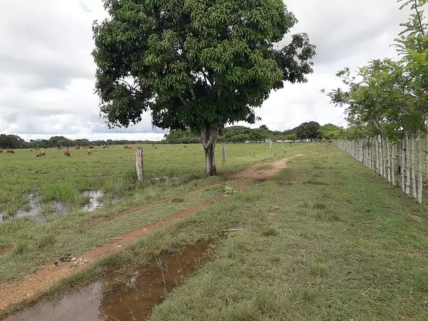 solares y terrenos - finca agrícola o ganadera  2