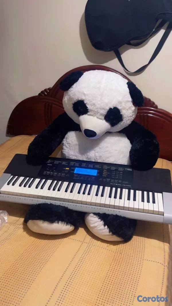 instrumentos musicales - Teclado Casio CTK-4400 4