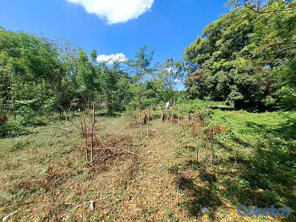 solares y terrenos - Vendo Terreno en San Cristóbal, Nigua, San Cristóbal  4