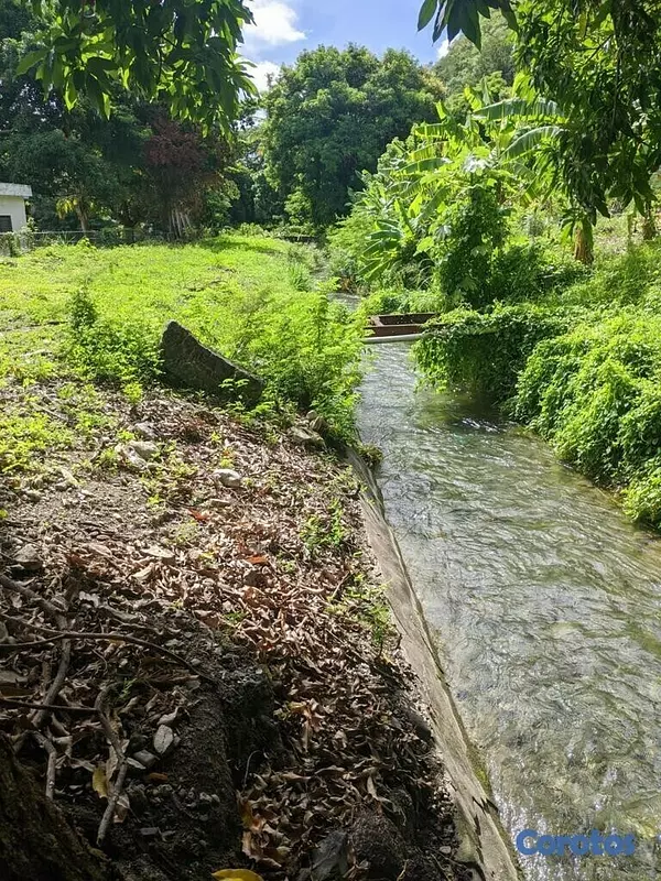 solares y terrenos - en venta finca de suelo fertil de 494 Tareas en bani 2