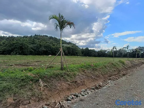 solares y terrenos - Finquitas en Venta en Piedra Blanca Bonao desde 500 metros en Adelante 7
