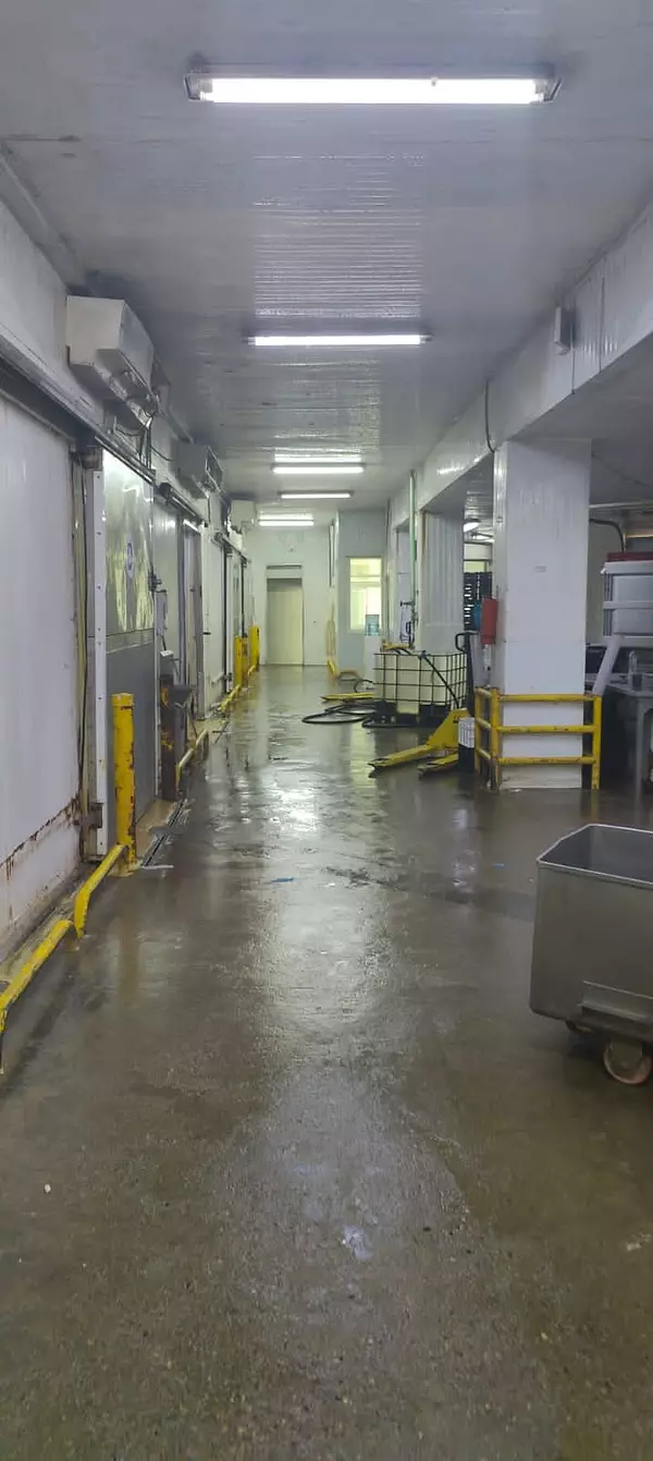 oficinas y locales comerciales - Nave refrigerada en Palamara 7