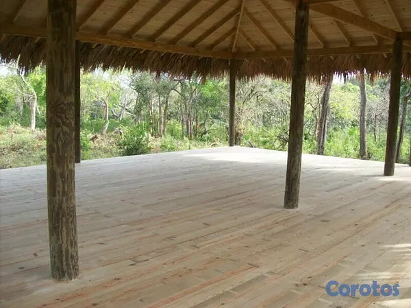 solares y terrenos - Precioso y Hermoso terreno 200 tareas ( 125 000 m2). 10