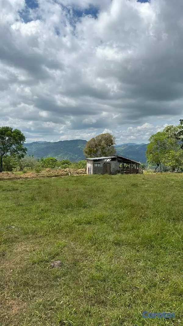 solares y terrenos - TERRENOS EN VENTA EN EL CUPEY CON VISTA A LA MONTA 6
