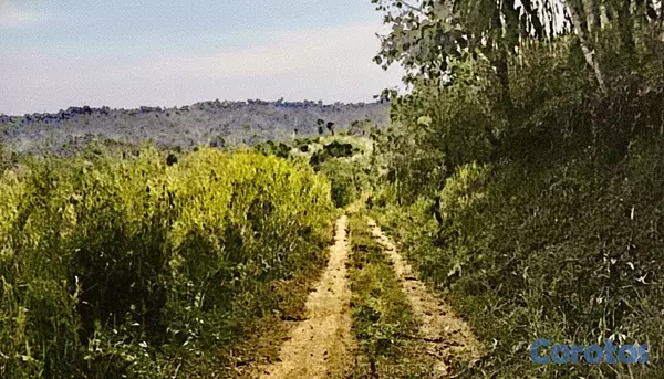 solares y terrenos - finca de 729 tareas en san José de las matas  11