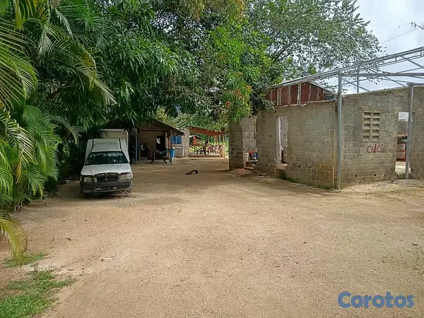 otros inmuebles - finca para criar de pollos y diversión proximo a la autovía de samana 6