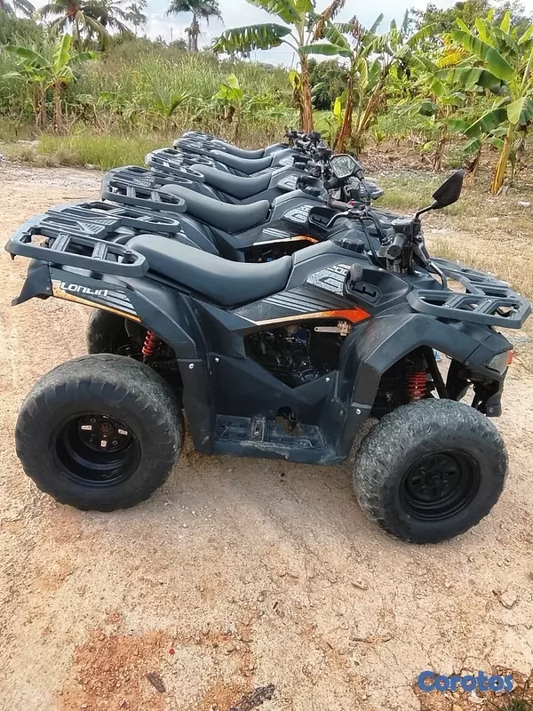 motores y pasolas - Motores 4 wheels Loncin en venta precio Negociable 5