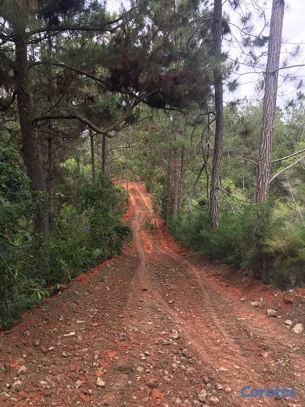 solares y terrenos - FINCA EN CONSTANZA 4
