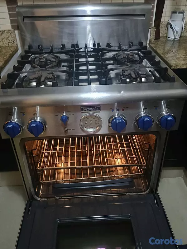 cocina - “Estufa Thermador Professional 30” modelo PG304BS/07 – con su extractor Monogran 4
