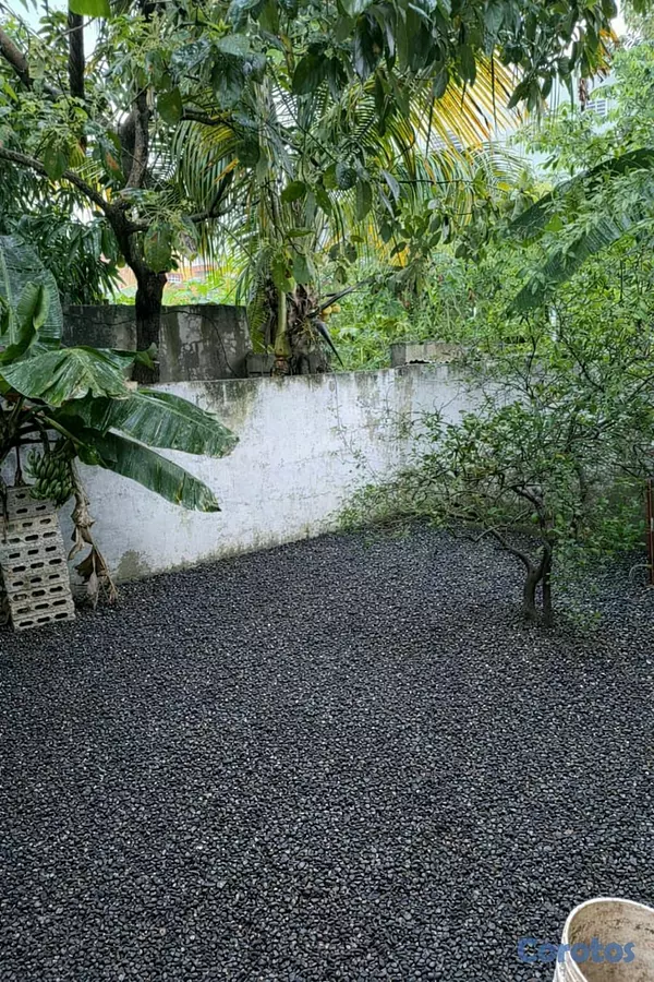 casas - sí  17