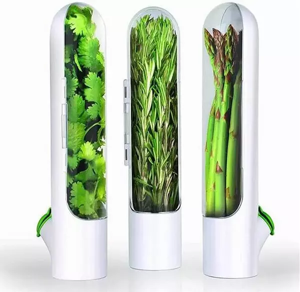 electrodomesticos - Botella De Conservación De Verduras, vegetales, cilantro, cebollin envase 2