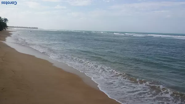 solares y terrenos - Gran Solar en Uvero Alto Punta Cana con Playa  5