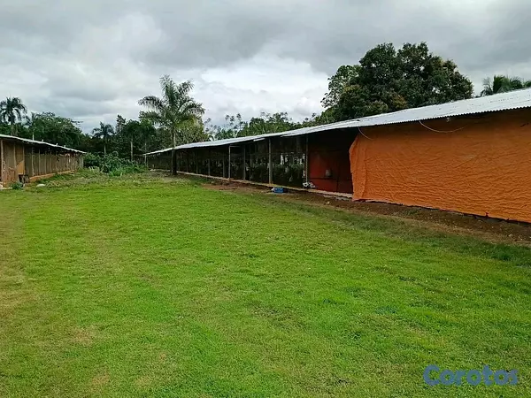 otros inmuebles - finca para criar de pollos y diversión proximo a la autovía de samana 7