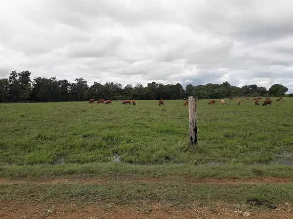 solares y terrenos - finca agrícola o ganadera  4