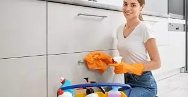 empleos disponibles - Se Solicita domestica con salida diaria 
 2