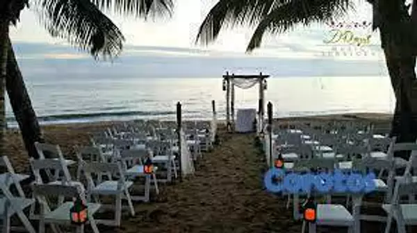 servicios profesionales - Para sus fiestas, Bodas y Quinceaños,  violinistas 4