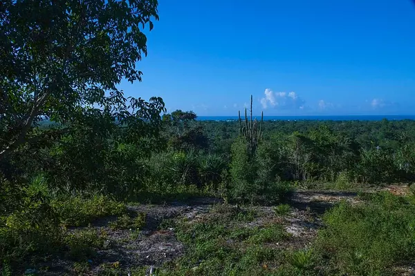 solares y terrenos - VENTA SOLARES EN BAHAHIBE - ZONA COSTERA DE REPÚBLICA DOMINICANA 1